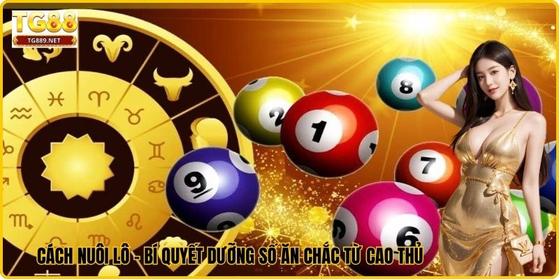 Cách Nuôi Lô - Bí Quyết Dưỡng Số Ăn Chắc Từ Cao Thủ