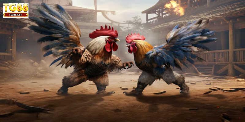 Đặc điểm nhận dạng gà mắt chuột chuẩn xác nhất Đặc điểm nhận dạng gà mắt chuột chuẩn xác nhất